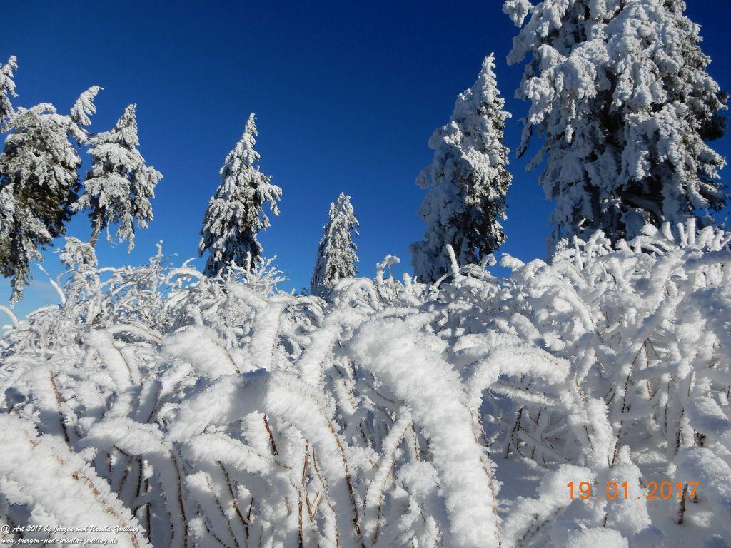 Philosophische Bildwanderung Winter Wonderland am Großen Feldberg-Taunus mit alpinem Charakter