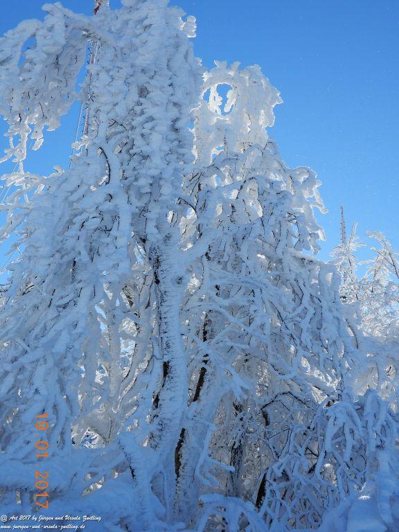 Philosophische Bildwanderung Winter Wonderland am Großen Feldberg-Taunus mit alpinem Charakter