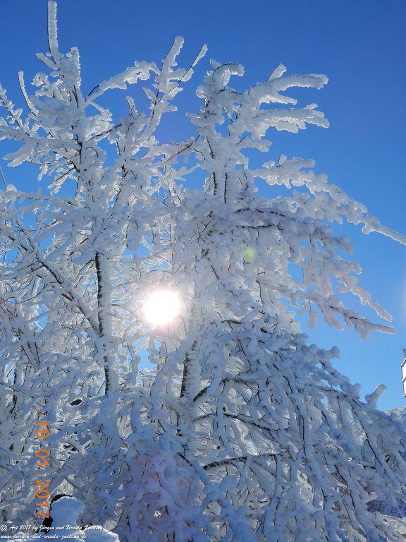 Philosophische Bildwanderung Winter Wonderland am Großen Feldberg-Taunus mit alpinem Charakter