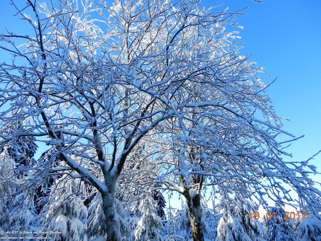 Philosophische Bildwanderung Winter Wonderland am Großen Feldberg-Taunus mit alpinem Charakter
