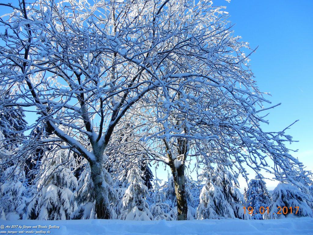Philosophische Bildwanderung Winter Wonderland am Großen Feldberg-Taunus mit alpinem Charakter