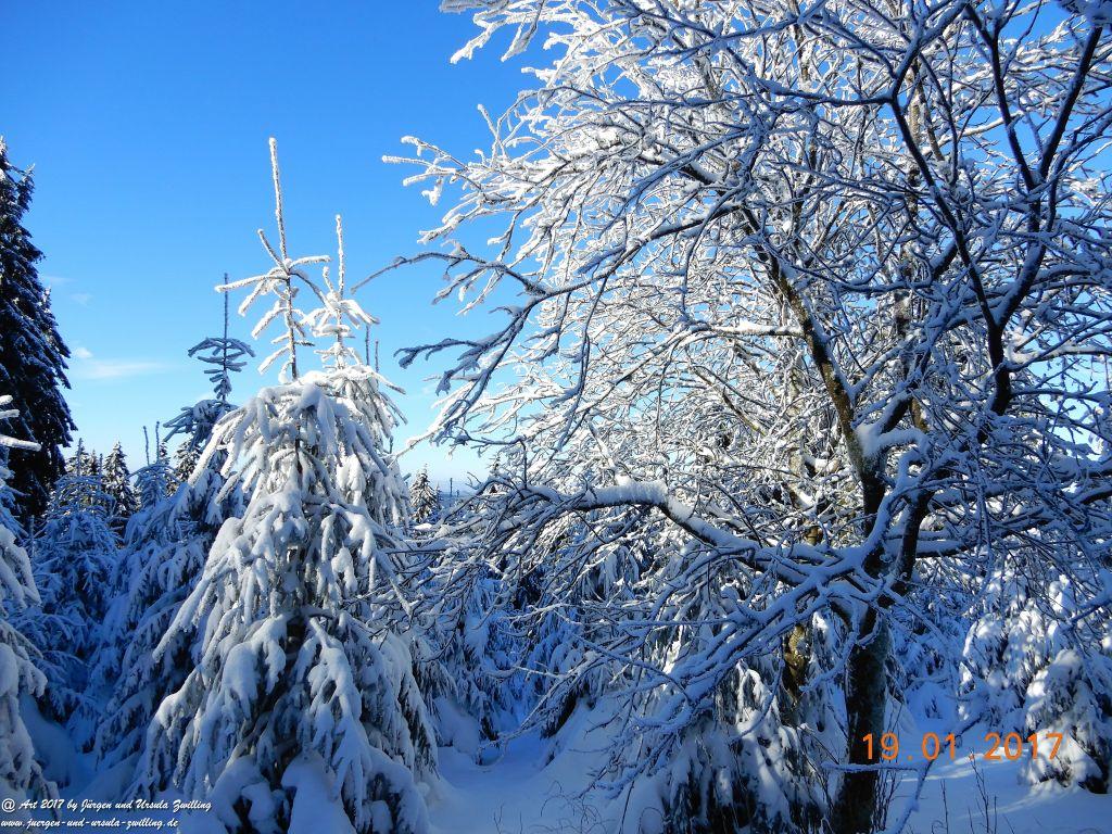 Philosophische Bildwanderung Winter Wonderland am Großen Feldberg-Taunus mit alpinem Charakter