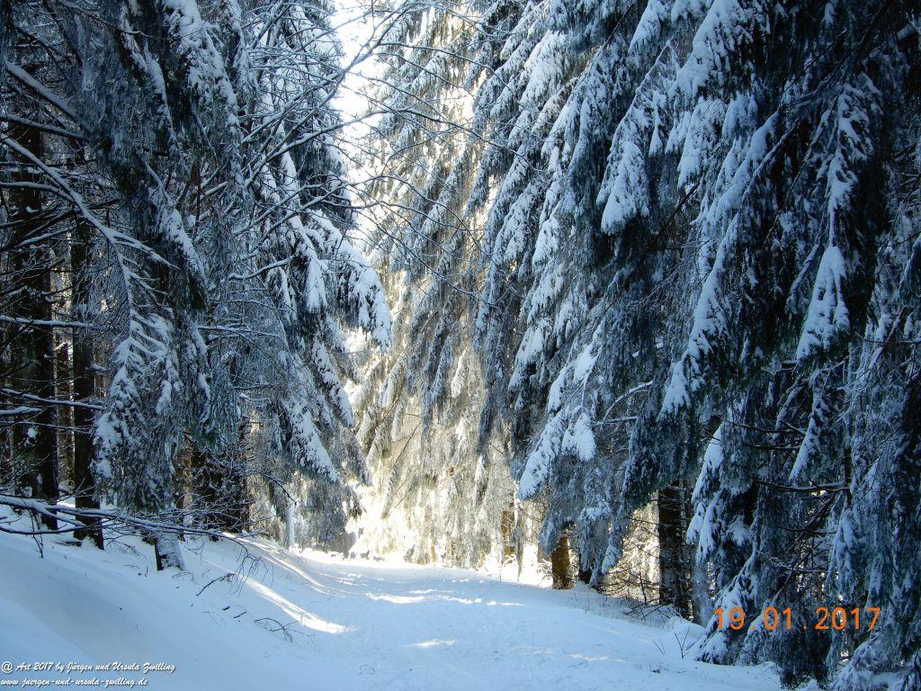Philosophische Bildwanderung Winter Wonderland am Großen Feldberg-Taunus mit alpinem Charakter