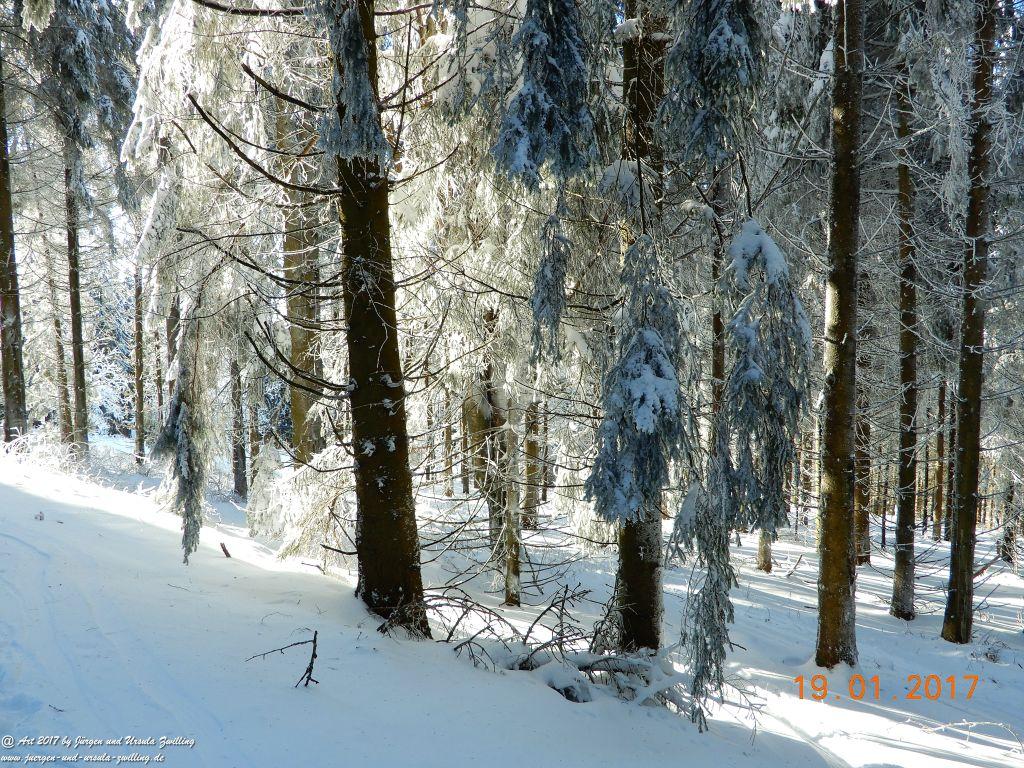 Philosophische Bildwanderung Winter Wonderland am Großen Feldberg-Taunus mit alpinem Charakter