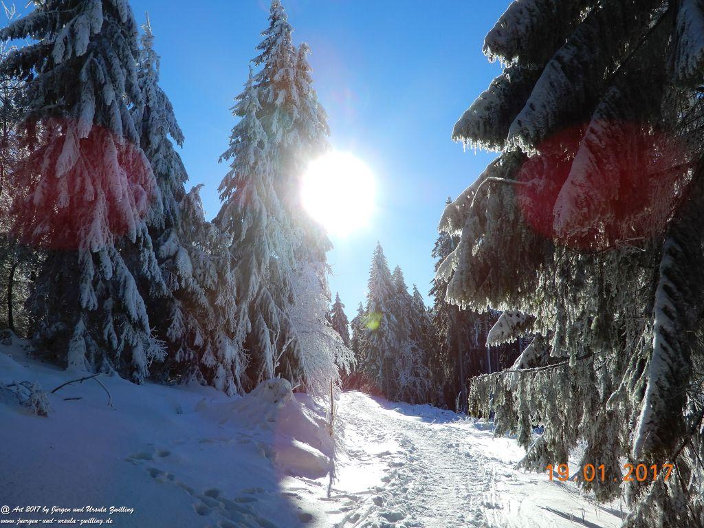 Philosophische Bildwanderung Winter Wonderland am Großen Feldberg-Taunus mit alpinem Charakter
