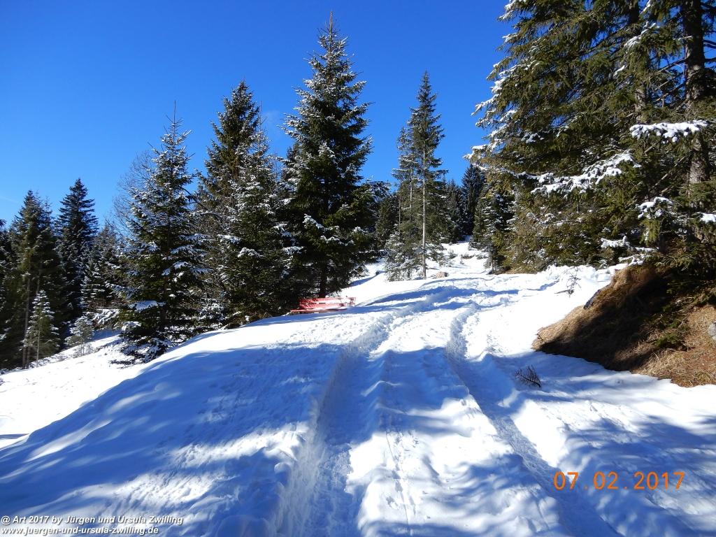 Philosophische Bildwanderung Von-Tannheim-ueber-das-Lohmoos-nach-Zöblen - Tannheim - Tannheimer Tal Österreich
