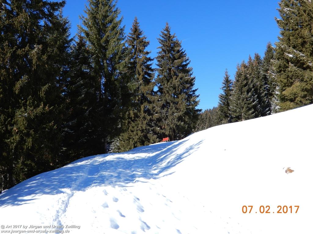 Philosophische Bildwanderung Von-Tannheim-ueber-das-Lohmoos-nach-Zöblen - Tannheim - Tannheimer Tal Österreich
