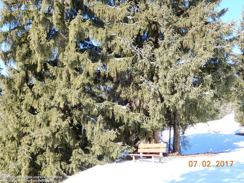 Philosophische Bildwanderung Von-Tannheim-ueber-das-Lohmoos-nach-Zöblen - Tannheim - Tannheimer Tal Österreich