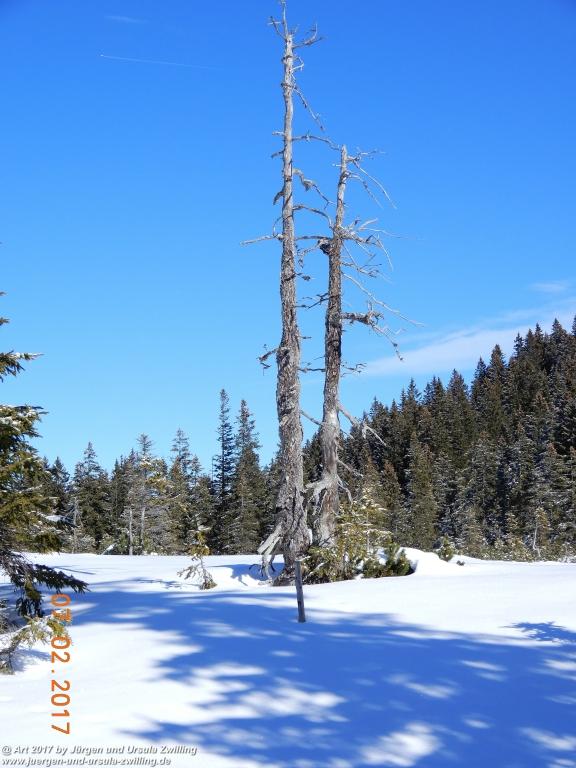 Philosophische Bildwanderung Von-Tannheim-ueber-das-Lohmoos-nach-Zöblen - Tannheim - Tannheimer Tal Österreich