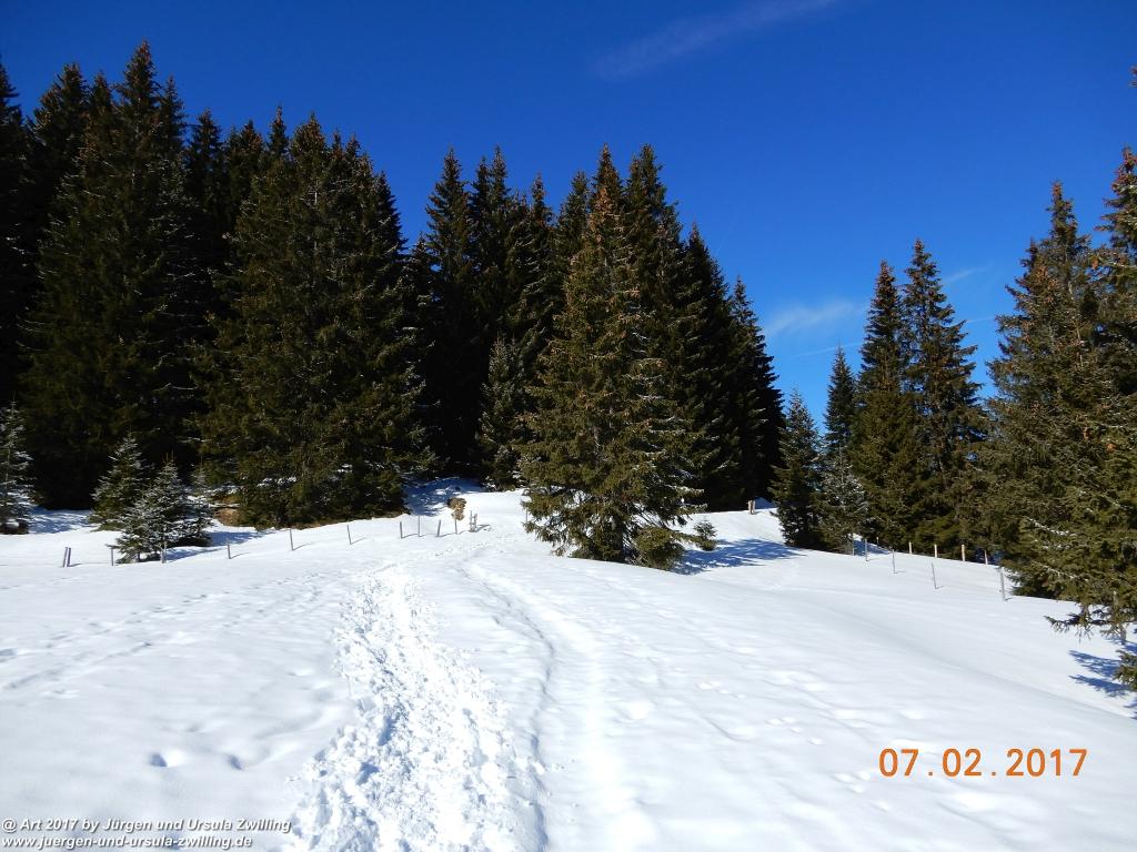 Philosophische Bildwanderung Von-Tannheim-ueber-das-Lohmoos-nach-Zöblen - Tannheim - Tannheimer Tal Österreich