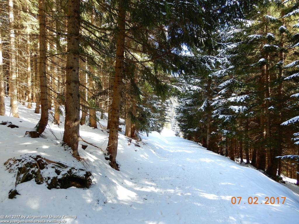 Philosophische Bildwanderung Von-Tannheim-ueber-das-Lohmoos-nach-Zöblen - Tannheim - Tannheimer Tal Österreich