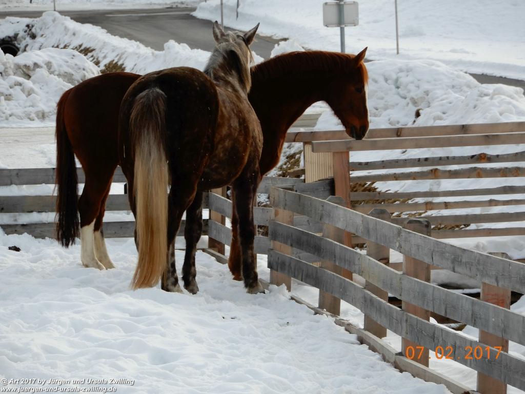 Philosophische Bildwanderung Von-Tannheim-ueber-das-Lohmoos-nach-Zöblen - Tannheim - Tannheimer Tal Österreich