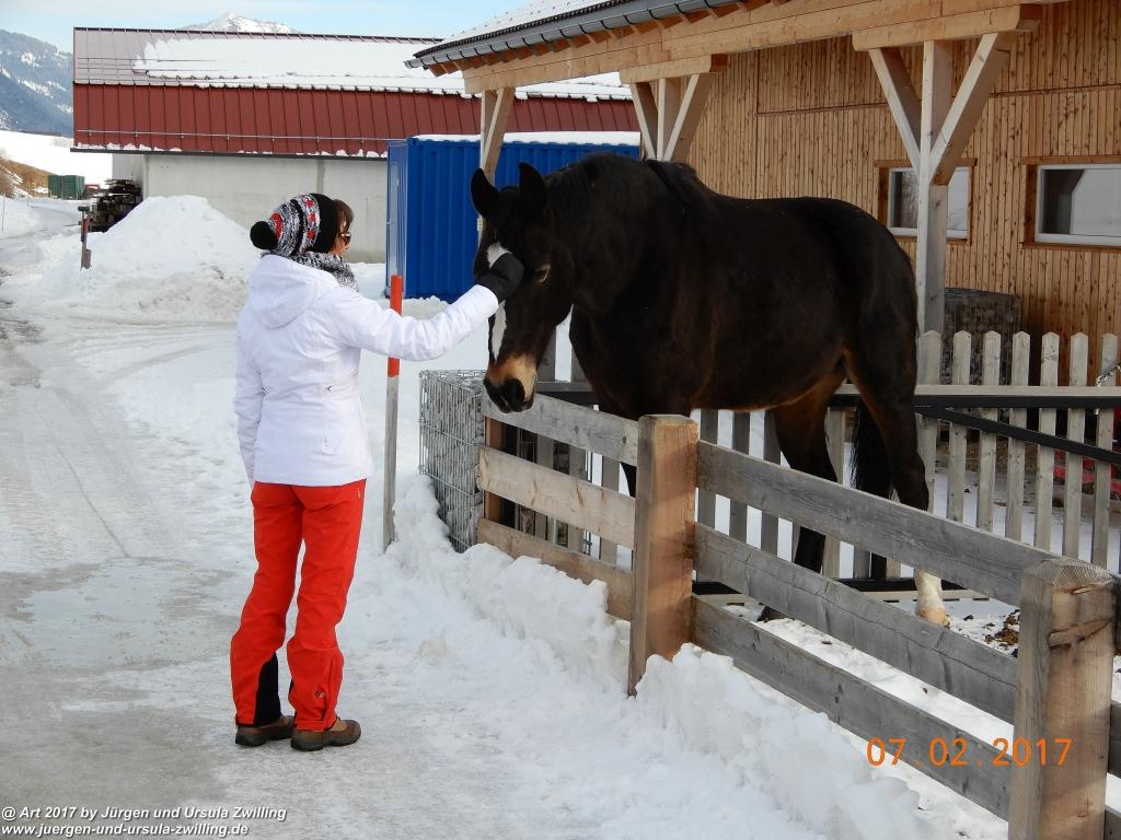 Philosophische Bildwanderung Von-Tannheim-ueber-das-Lohmoos-nach-Zöblen - Tannheim - Tannheimer Tal Österreich