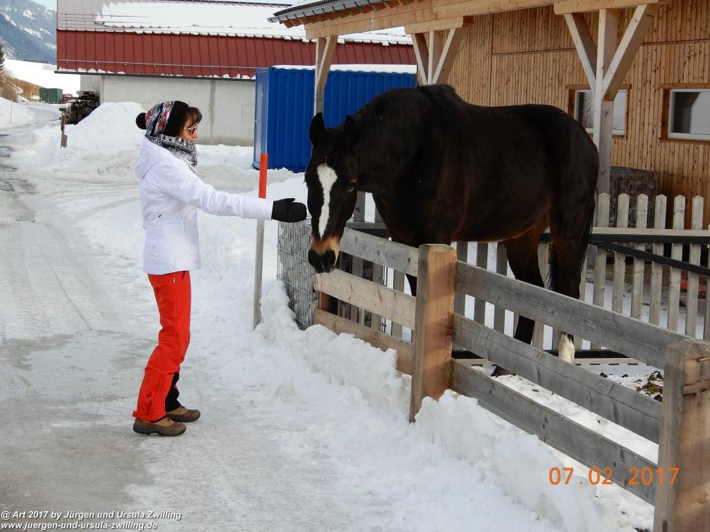 Philosophische Bildwanderung Von-Tannheim-ueber-das-Lohmoos-nach-Zöblen - Tannheim - Tannheimer Tal Österreich