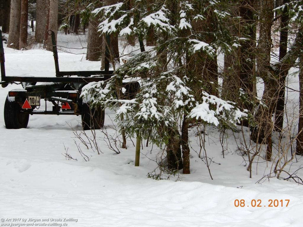 Philosophische Bildwanderung  Tannheim - Vilsalpsee - Tannheim - Tannheimer Tal - Österreich