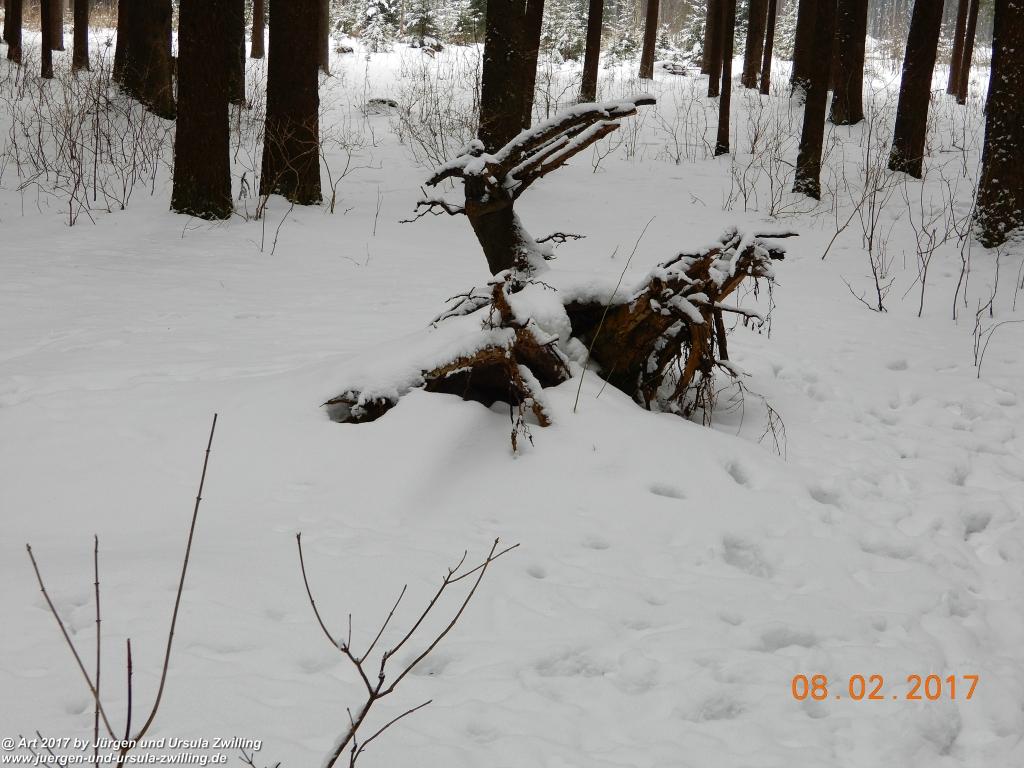 Philosophische Bildwanderung  Tannheim - Vilsalpsee - Tannheim - Tannheimer Tal - Österreich