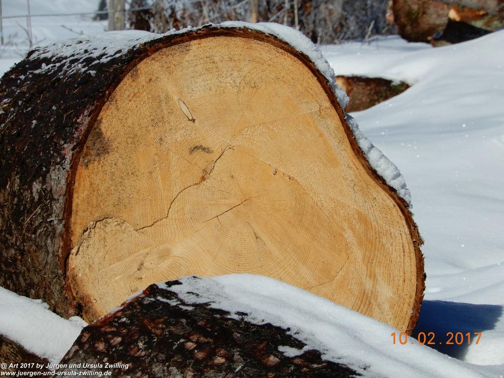 Philosophische Bildwanderung Schattwald-Rehbach -Schattwald - Tannheimer Tal - Österreich