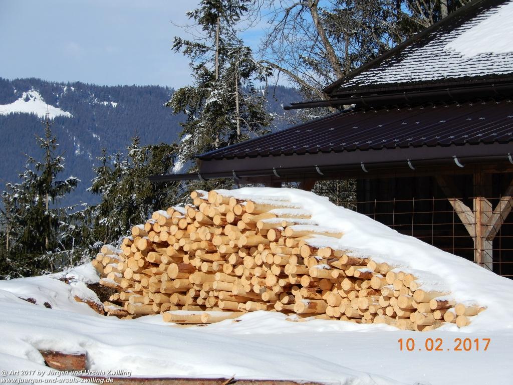 Philosophische Bildwanderung Schattwald-Rehbach -Schattwald - Tannheimer Tal - Österreich