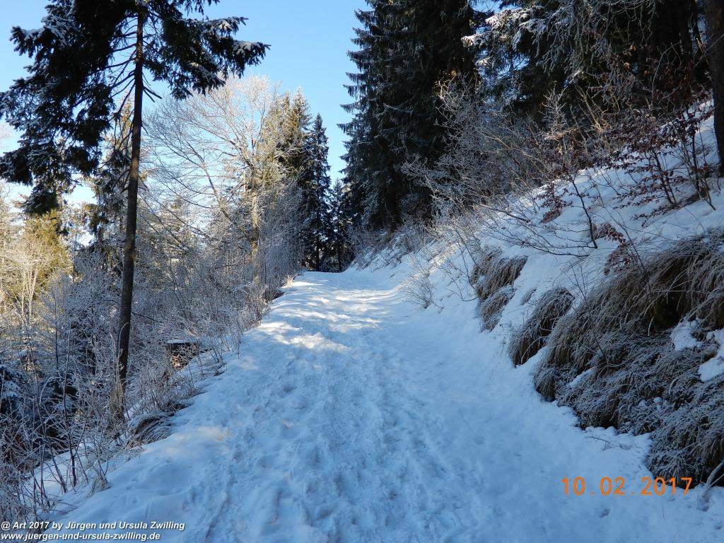Philosophische Bildwanderung Schattwald-Rehbach -Schattwald - Tannheimer Tal - Österreich