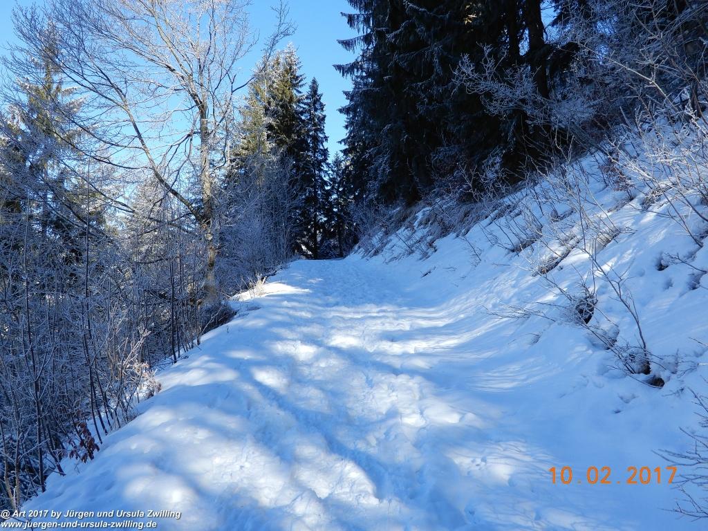 Philosophische Bildwanderung Schattwald-Rehbach -Schattwald - Tannheimer Tal - Österreich