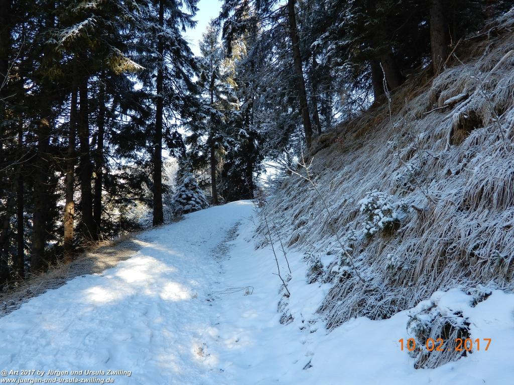 Philosophische Bildwanderung Schattwald-Rehbach -Schattwald - Tannheimer Tal - Österreich