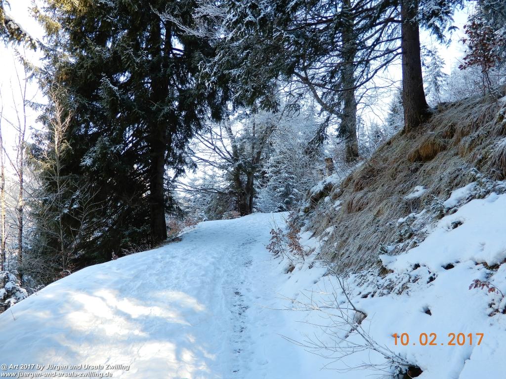 Philosophische Bildwanderung Schattwald-Rehbach -Schattwald - Tannheimer Tal - Österreich