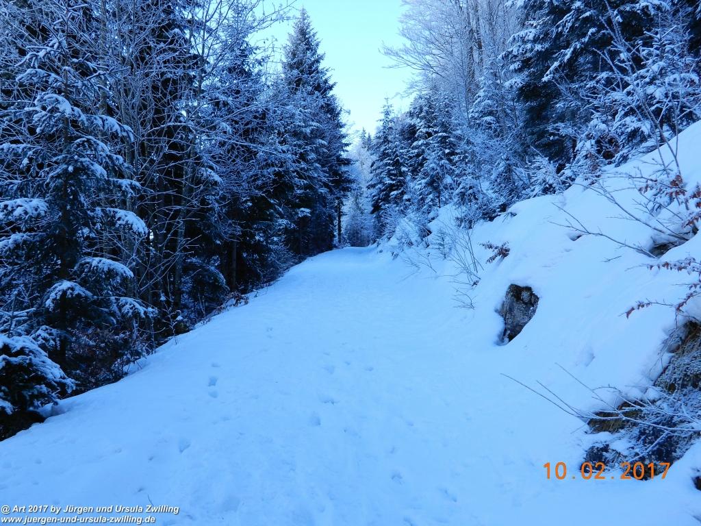 Philosophische Bildwanderung Schattwald-Rehbach -Schattwald - Tannheimer Tal - Österreich