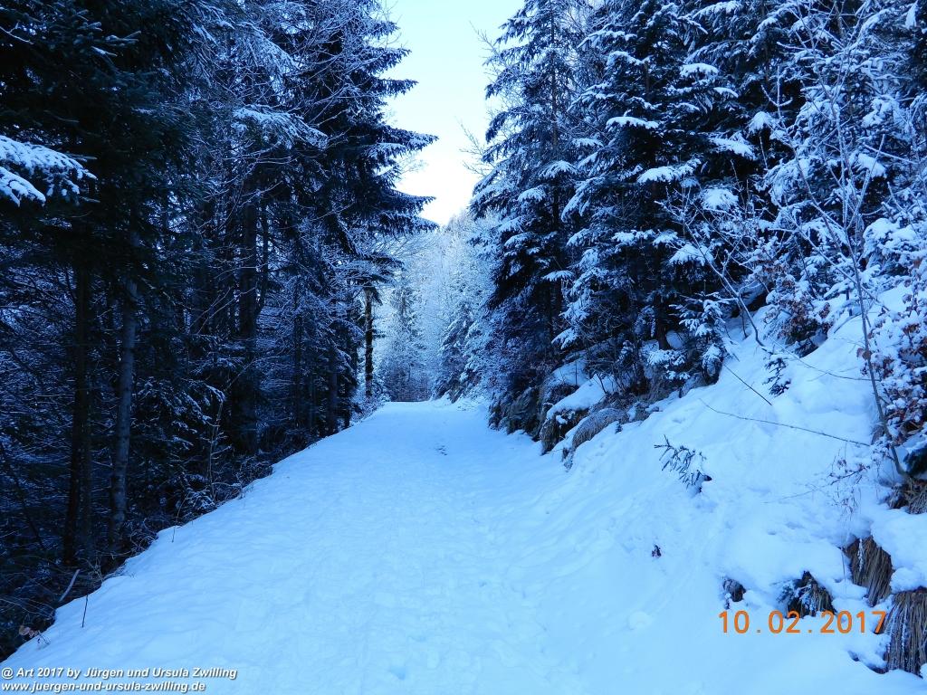 Philosophische Bildwanderung Schattwald-Rehbach -Schattwald - Tannheimer Tal - Österreich