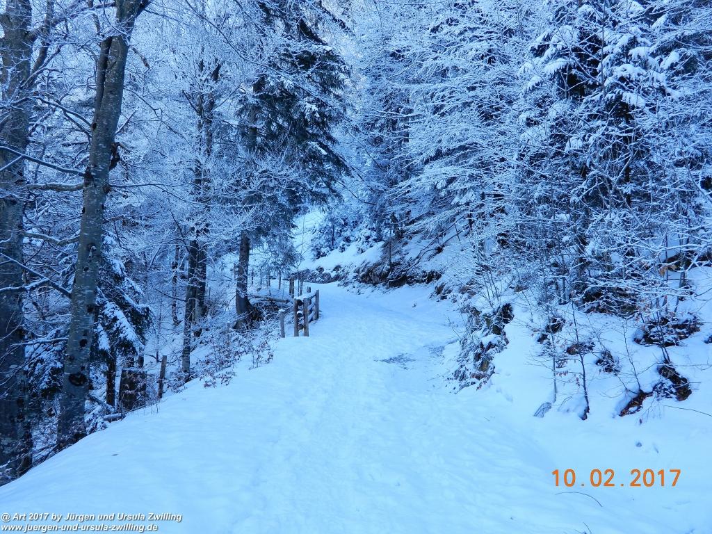 Philosophische Bildwanderung Schattwald-Rehbach -Schattwald - Tannheimer Tal - Österreich