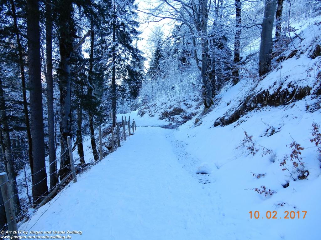 Philosophische Bildwanderung Schattwald-Rehbach -Schattwald - Tannheimer Tal - Österreich