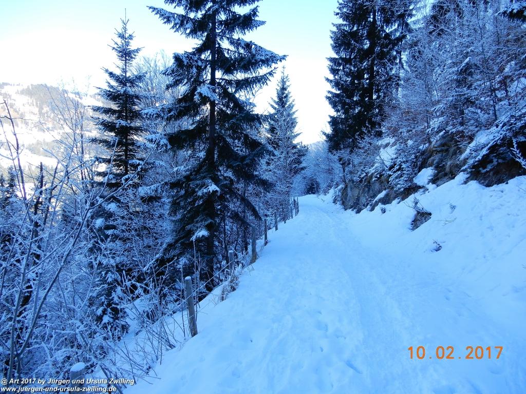 Philosophische Bildwanderung Schattwald-Rehbach -Schattwald - Tannheimer Tal - Österreich