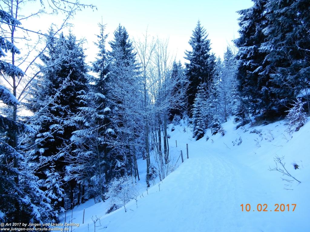 Philosophische Bildwanderung Schattwald-Rehbach -Schattwald - Tannheimer Tal - Österreich