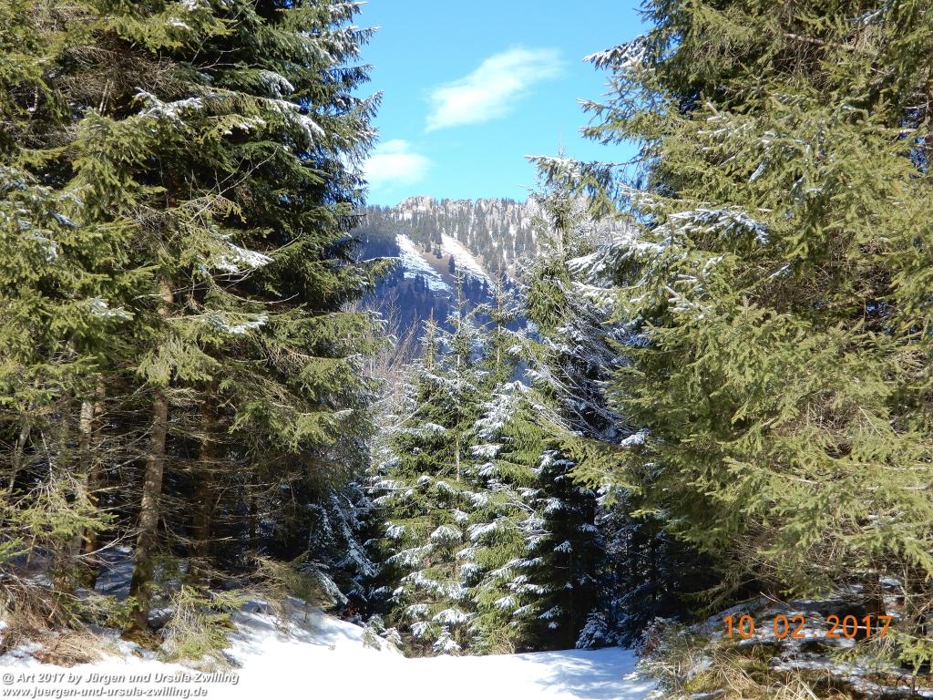 Philosophische Bildwanderung Schattwald-Rehbach -Schattwald - Tannheimer Tal - Österreich