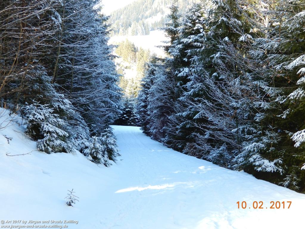 Philosophische Bildwanderung Schattwald-Rehbach -Schattwald - Tannheimer Tal - Österreich