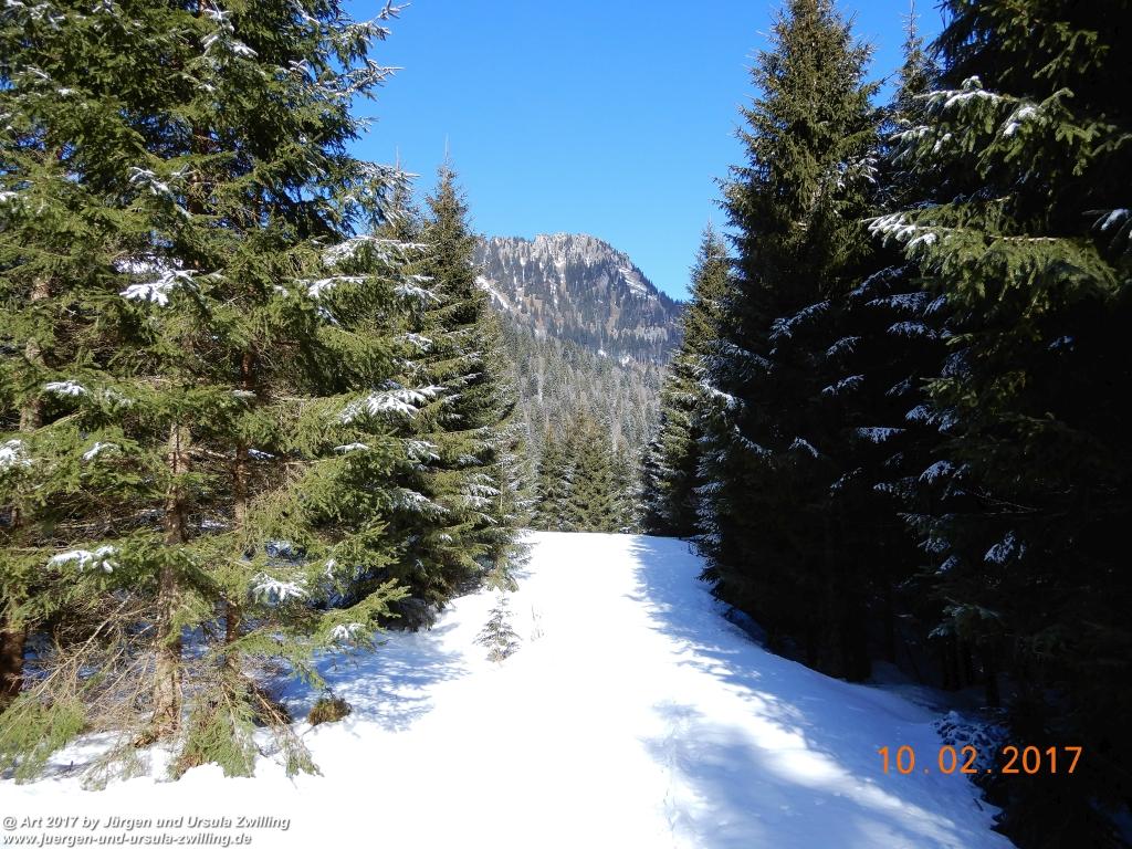 Philosophische Bildwanderung Schattwald-Rehbach -Schattwald - Tannheimer Tal - Österreich