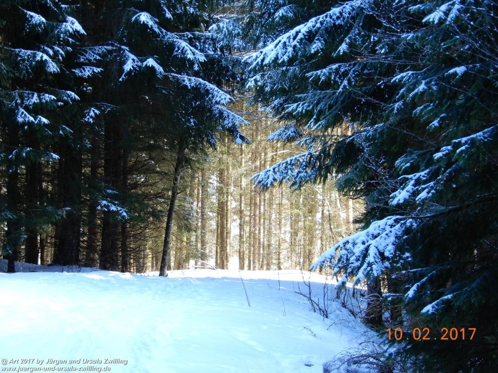 Philosophische Bildwanderung Schattwald-Rehbach -Schattwald - Tannheimer Tal - Österreich