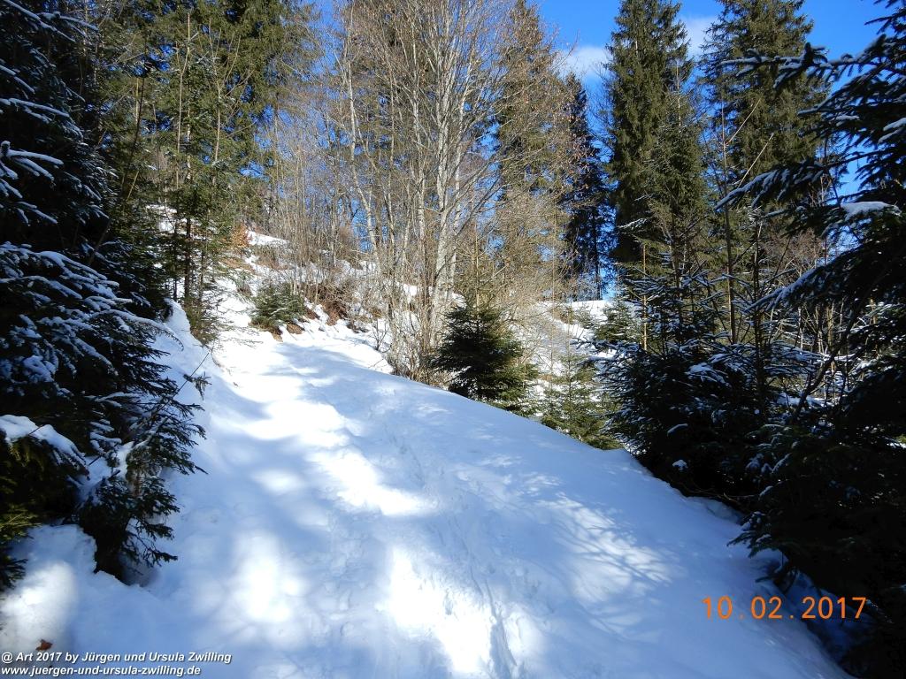 Philosophische Bildwanderung Schattwald-Rehbach -Schattwald - Tannheimer Tal - Österreich