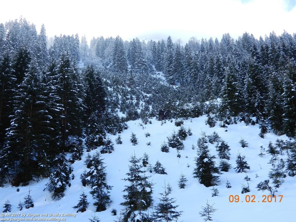 Philosophische Bildwanderung Nesselwängle-Rauth - Tannheimer Tal - Österreich