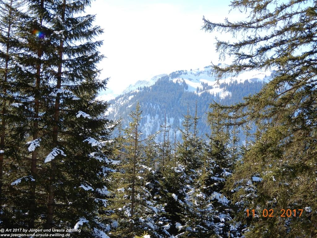 Philosophische Bildwanderung Grän - Adlerhorst - Haller - Haldensee - Grän - Tannheimer Tal - Österreich