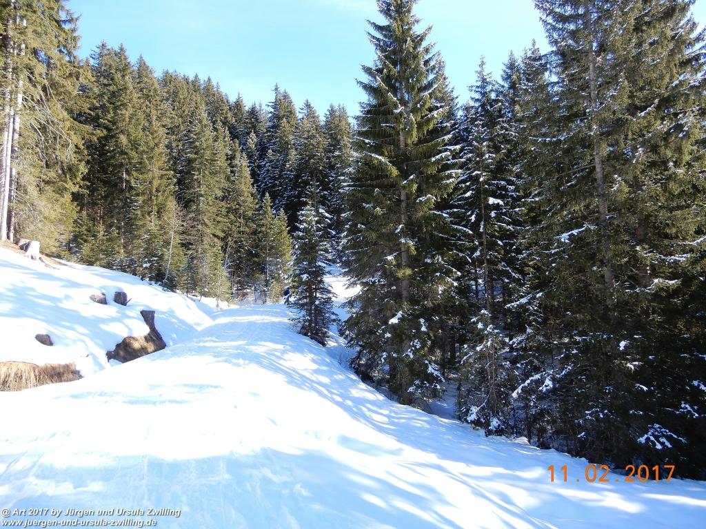 Philosophische Bildwanderung Grän - Adlerhorst - Haller - Haldensee - Grän - Tannheimer Tal - Österreich