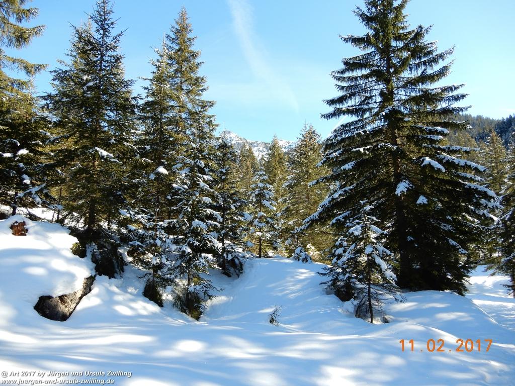 Philosophische Bildwanderung Grän - Adlerhorst - Haller - Haldensee - Grän - Tannheimer Tal - Österreich