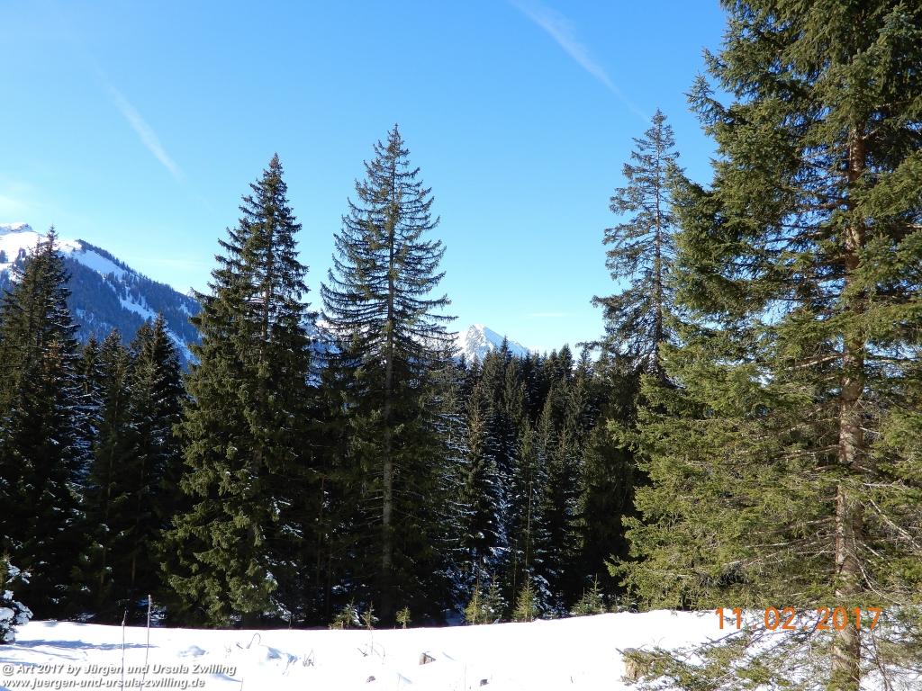 Philosophische Bildwanderung Grän - Adlerhorst - Haller - Haldensee - Grän - Tannheimer Tal - Österreich