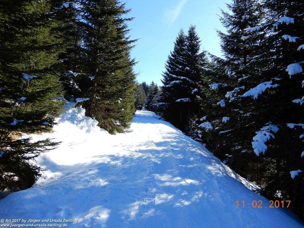 Philosophische Bildwanderung Grän - Adlerhorst - Haller - Haldensee - Grän - Tannheimer Tal - Österreich