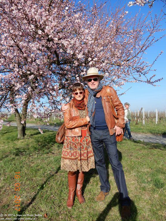 Mandelblüte in der Pfalz