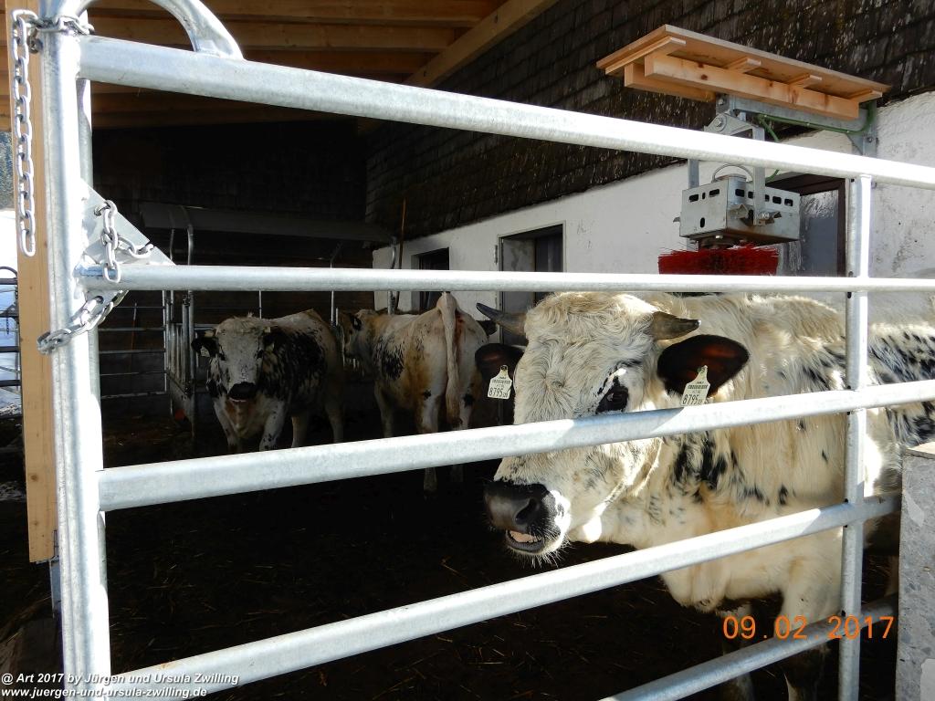 Nesselwaengle -Tannheimer Tal - Österreich