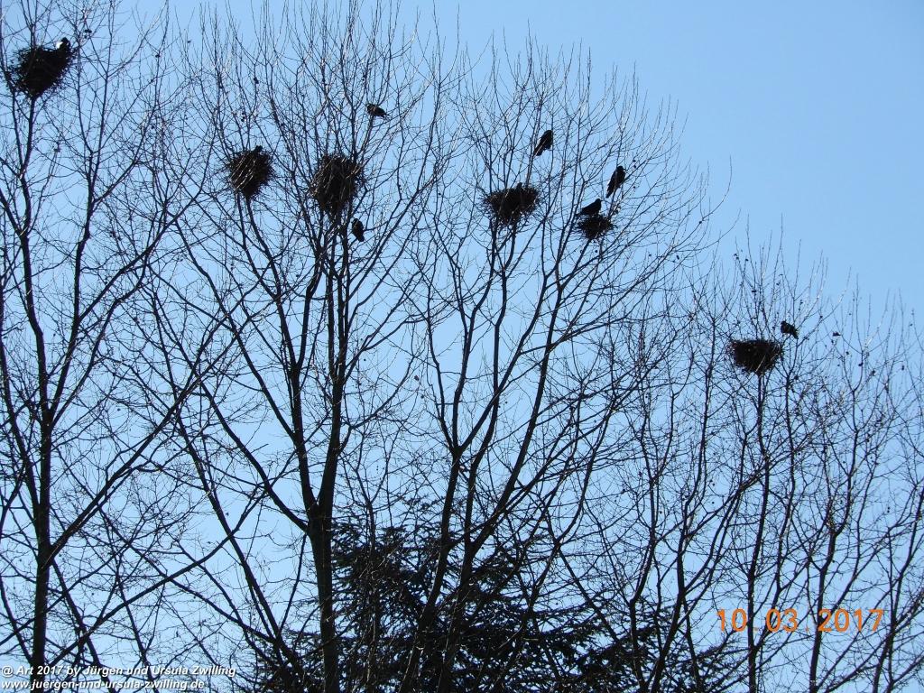 Sélestat - Elsass - Grand Est - Bas- Rhin- Frankreich