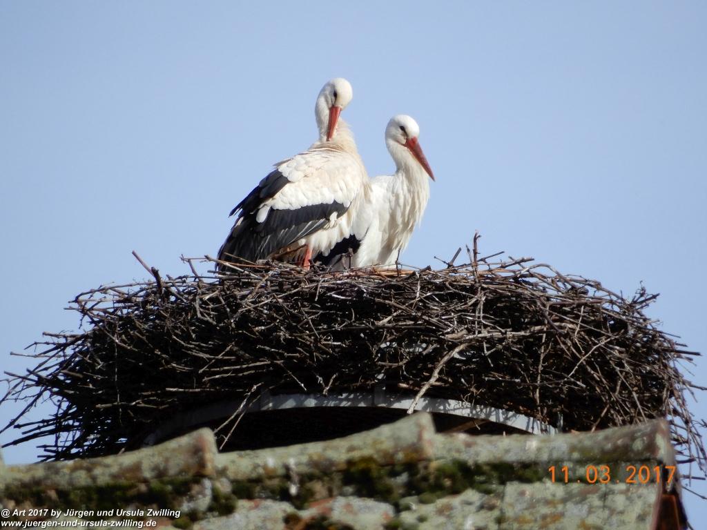 Riquewihr- Elsass -Haut-Rhin - Frankreich