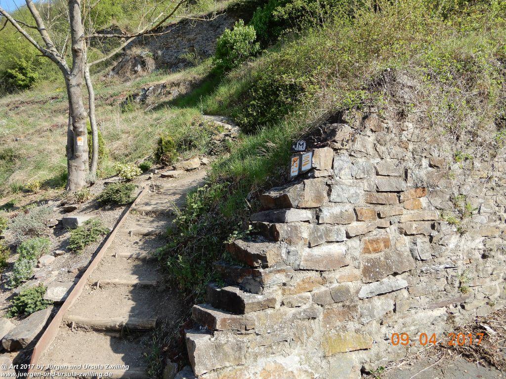 Philosophische Bildwanderung Hatzenporter Laysteig - Wiesen, Wein und weite Blicke - Mosel - Hunsrück