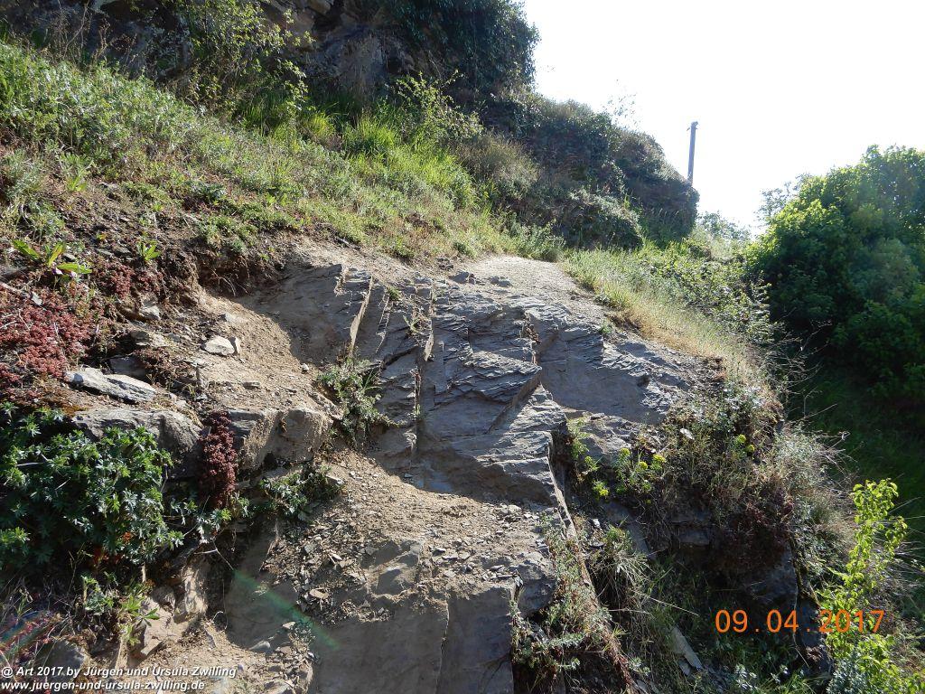 Philosophische Bildwanderung Hatzenporter Laysteig - Wiesen, Wein und weite Blicke - Mosel - Hunsrück