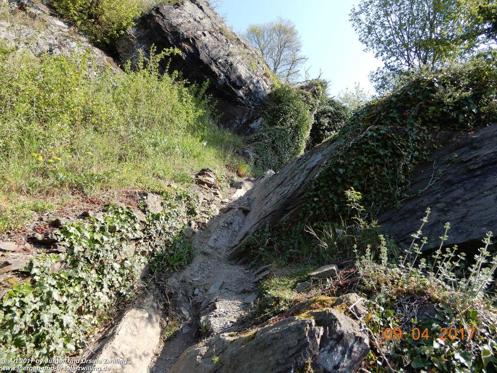 Philosophische Bildwanderung Hatzenporter Laysteig - Wiesen, Wein und weite Blicke - Mosel - Hunsrück